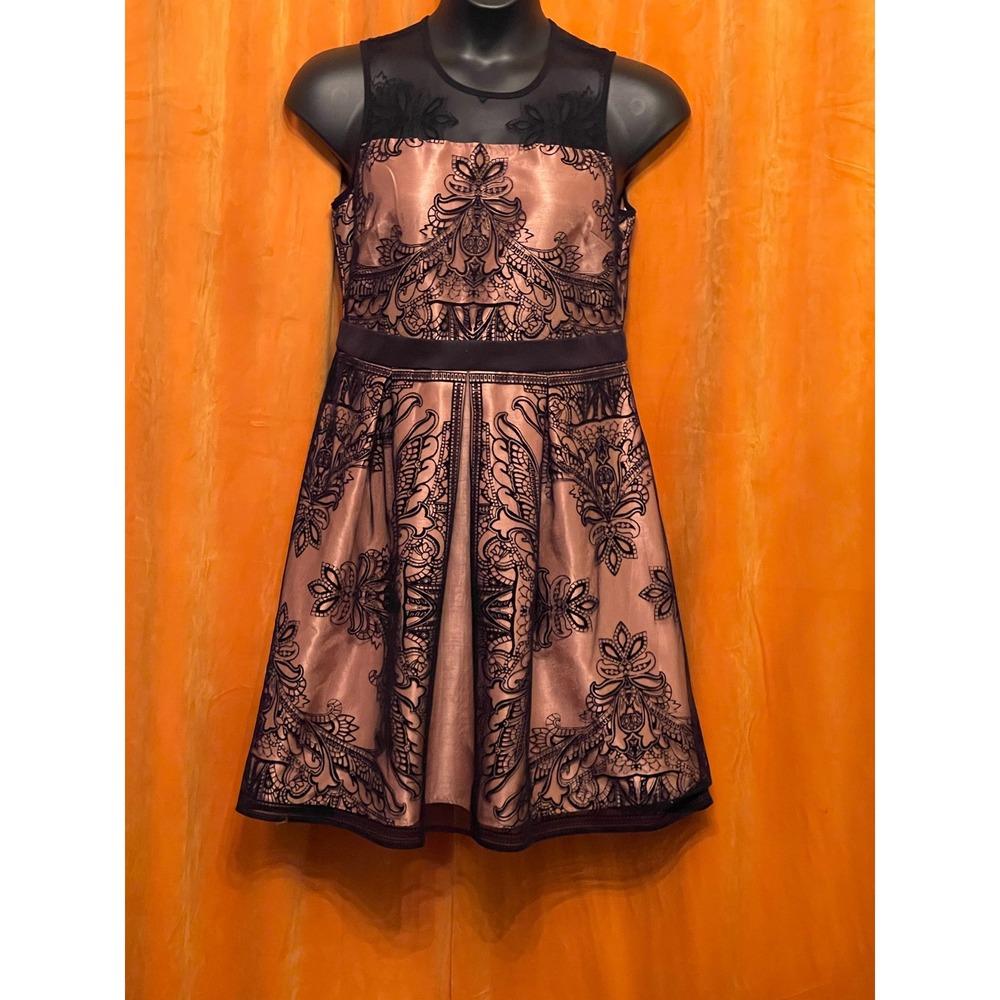 Roz & Ali Pink Black Flocked Velvet Mesh Yoke Fit Flare Dress 14 Sleeveless
